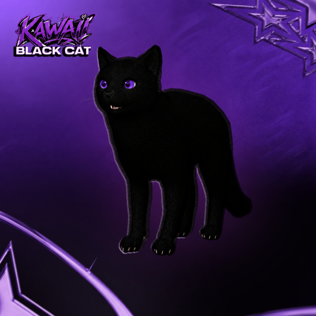 Black Cat